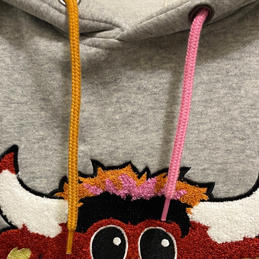 Gray Hoodie with Bull Design - Picture 4 of 11